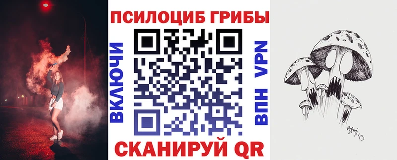 даркнет сайт  Назрань  Галлюциногенные грибы MAGIC MUSHROOMS 