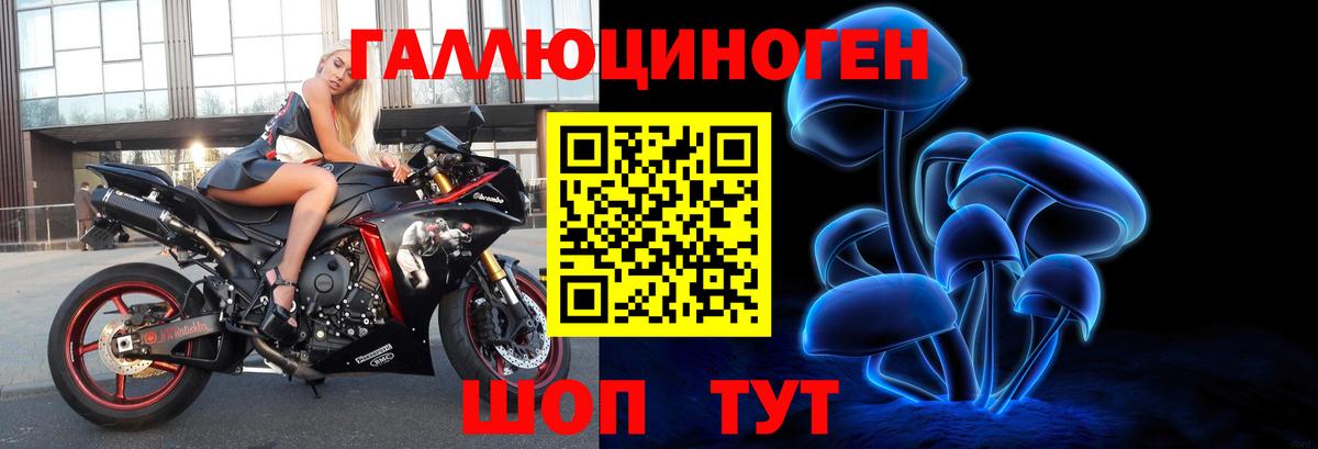 сколько стоит  Галлюциногенные грибы Psilocybine cubensis  Вход с VPN  Назрань 
